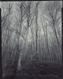 John Gerndt - Untitled