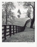 Shilesh Jani - \"Fence, Trees Encased in Ice\"