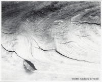 Andrew ONeill - \"Adrift\"
