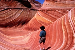 Kdk0021The_Wave_500x381