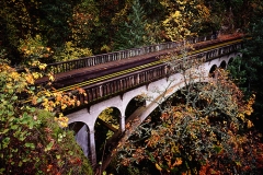 Sheppards_Dell_Bridge_500x393