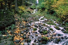 Kdk0010Wahkeenah_450hr