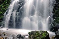 Kdk0015Mossy_Rock_450x347