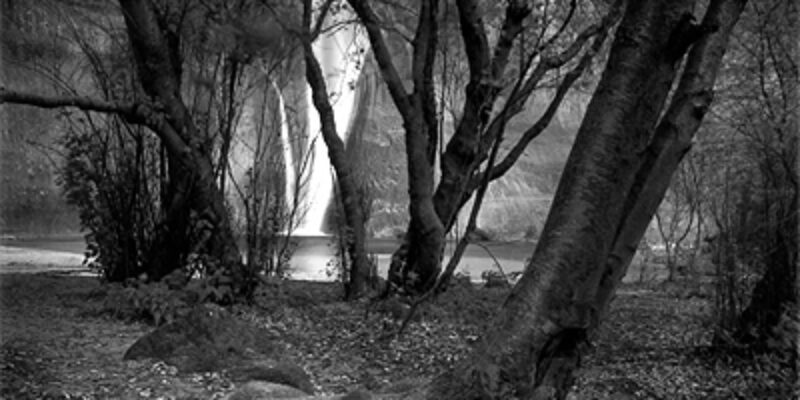 Calf Creek Falls and Trees